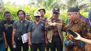 Pengamat Desak Audit Investigasi Kepemilikan Lahan Sawit di Kalbar
