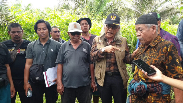 Pengamat Desak Audit Investigasi Kepemilikan Lahan Sawit di Kalbar